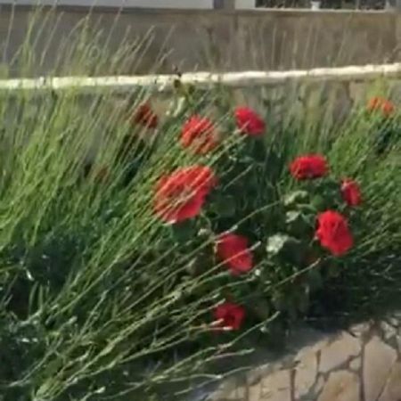 Miro Apartmani Ražanac Εξωτερικό φωτογραφία