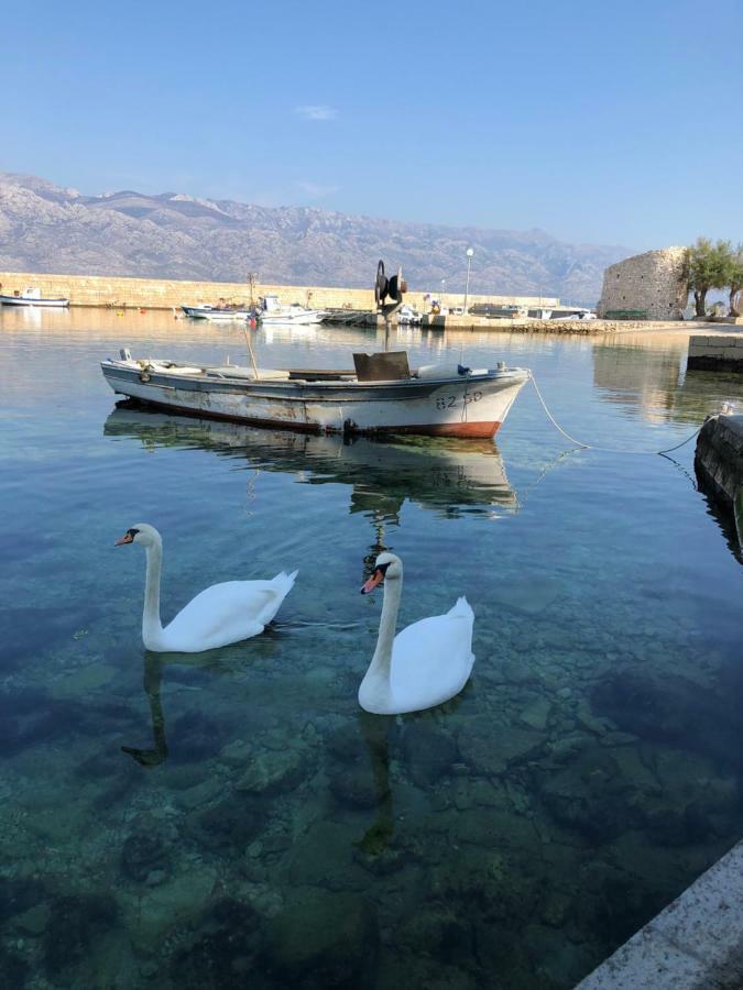Miro Apartmani Ražanac Εξωτερικό φωτογραφία